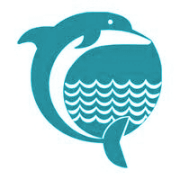 DolphinOffshore 75149208215 4261